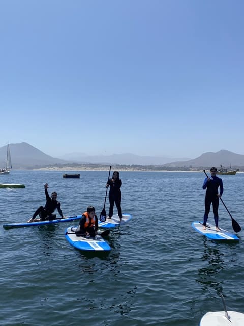 Pichidangui Aventura