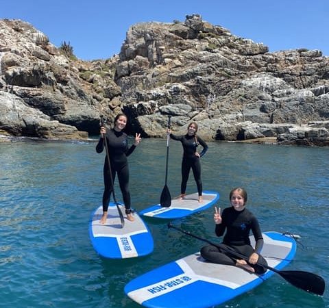 Pichidangui Aventura