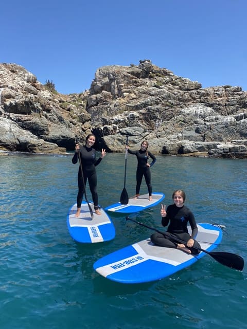 Pichidangui Aventura