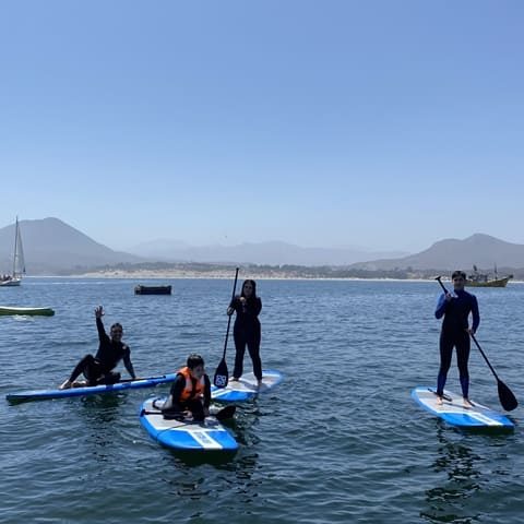 Pichidangui Aventura