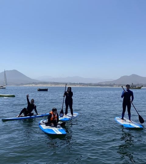 Pichidangui Aventura