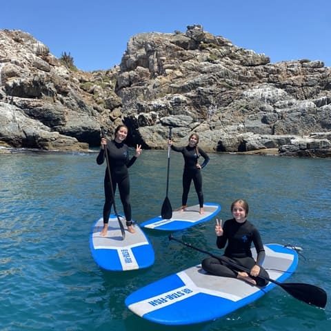 Pichidangui Aventura