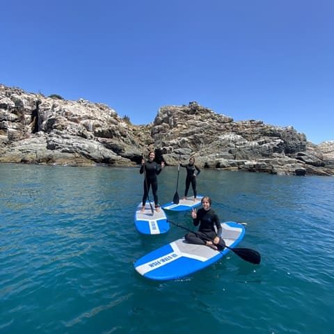 Pichidangui Aventura