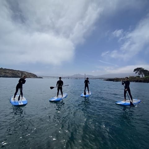 Pichidangui Aventura