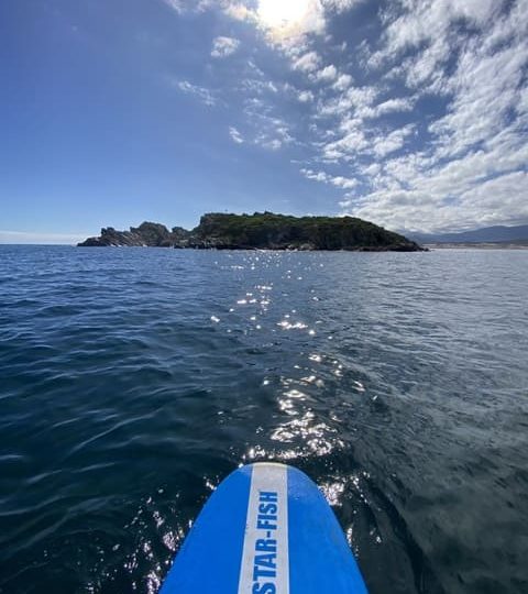 Pichidangui Aventura