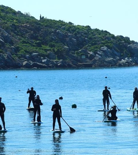 Pichidangui Aventura
